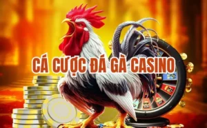 Cá Cược Đá Gà Casino - Trải Nghiệm Dịch Vụ Đẳng Cấp