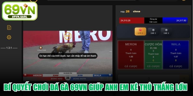 Bí quyết chơi đá gà 69VN giúp anh em kê thủ thắng lớn mỗi ngày
