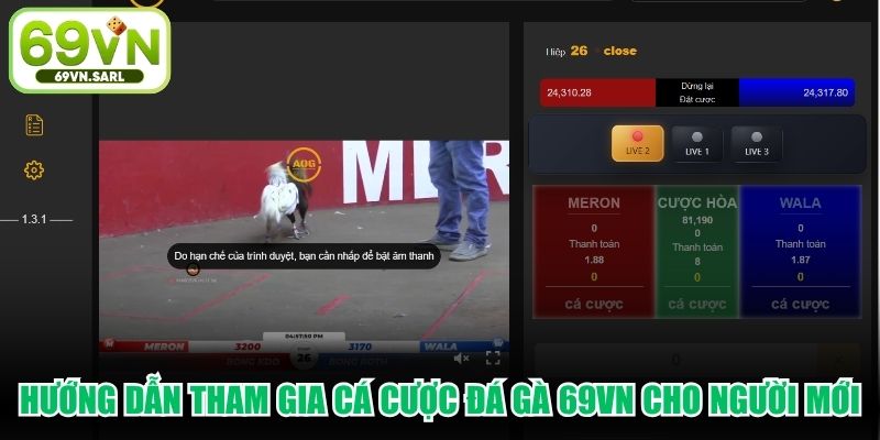 Hướng dẫn tham gia cá cược đá gà 69VN cho người mới