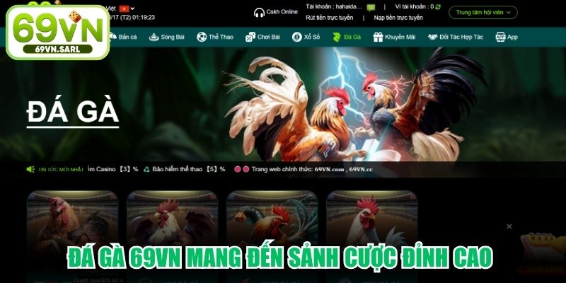 Đá gà 69VN mang đến sảnh cược đỉnh cao với vô số trận đấu gay cấn